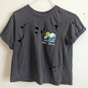 Vibe N gray gringe distressed tee cropped Malibu CA ocean wave surfing graphic